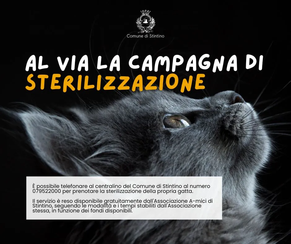 Al via campagna di sterilizzazione per gatte di proprietà